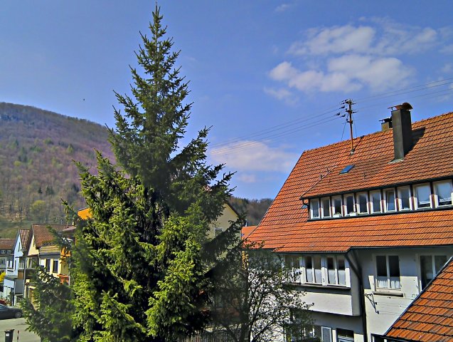 2013-04-24_12-14-22_HDR