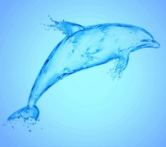 Aqua_Dolphin-wallpaper-9888665